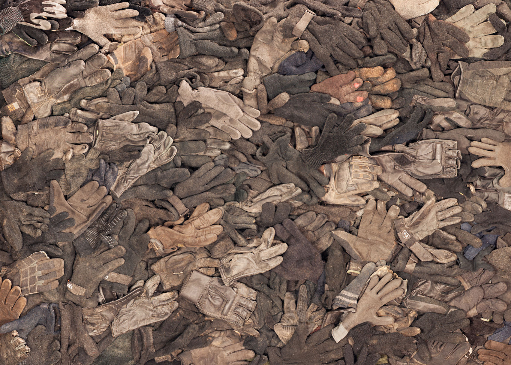 tomkiefer_Gloves.jpg